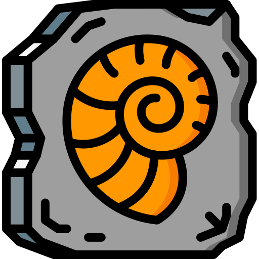 Fossil
